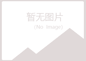 禹城夏岚能源有限公司